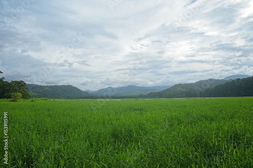 lake Angostura and surrounding landscape in Costa Rica
