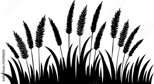 Wheat and Grass Silhouette Vector – Rustic Field Plants Illustration for Nature and Farm Design