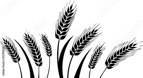 Wheat Ears Silhouette Vector – Black Grain Illustration for Farm, Harvest, and Nature Projects
