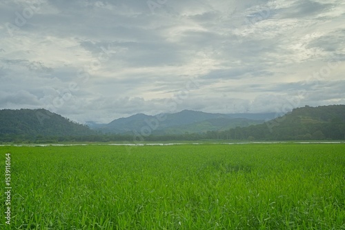 lake Angostura and surrounding landscape in Costa Rica