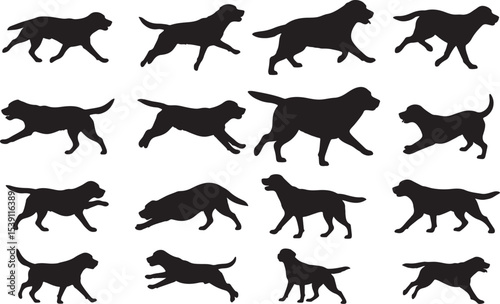 Labrador Retriever Silhouettes