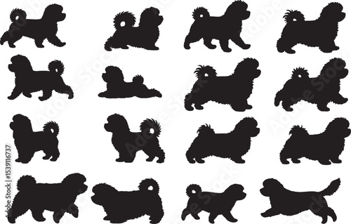 Maltese Silhouettes