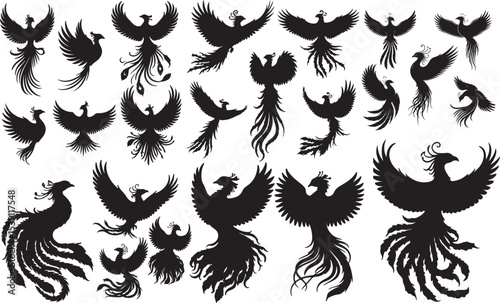 Phoenix Silhouettes