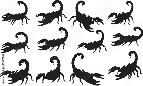 Scorpion Silhouettes