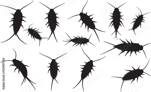 Silverfish Silhouettes