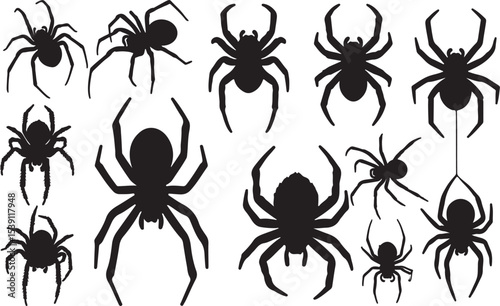 Spider Silhouettes