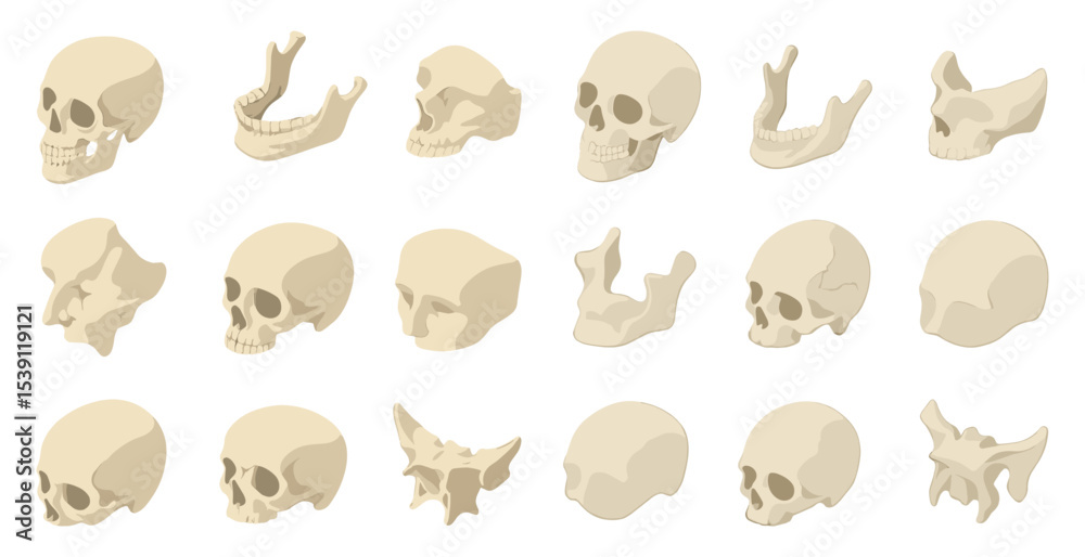 Obraz premium Anatomy skull 3d icons set – realistic, detailed, human structure symbols