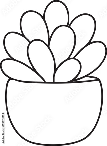 Minimalist Succulent Plant Illustration A Simple Black and White Outline Drawing in a Pot Isolated on White