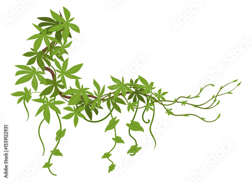 Jungle liana plants. Rainforest liana vines, tropical climbing ivy creepers, exotic ivy creeper flat vector illustration. Cartoon evergreen climbing plant