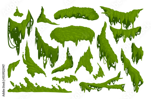 Jungle moss. Hanging and creeping lichen and moss, green moss plants flat vector illustration set. Cartoon rainy forest flora on white
