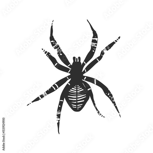 Spider Silhouette Illustration. Nature And Wildlife Symbolism Isolated Vector Illustration