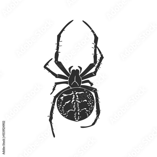 Spider Silhouette Illustration. Detailed Arachnid Design For Nature And Wildlife Themes. Isolated Vector Illustration