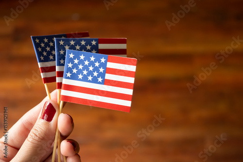 woman hand holding a bunch of American flags