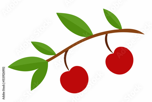 Two red cherries on branch with green leaves