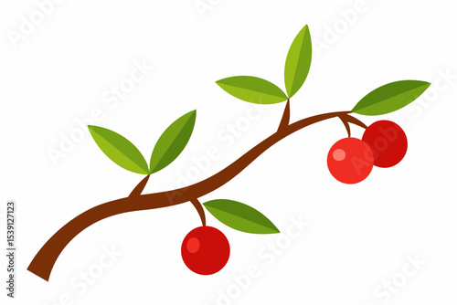 Simple illustration of a branch with red berries and green leaves