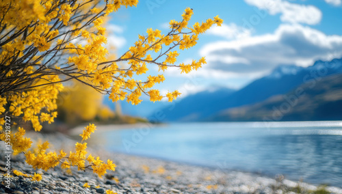 Stunning Yellow Flowers by the Lakeside