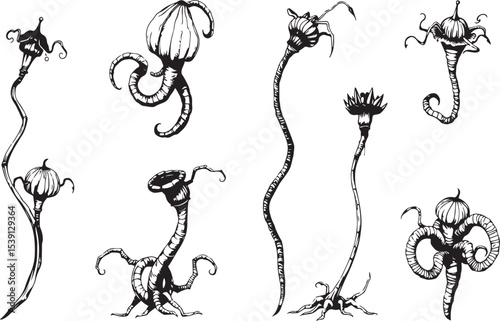Set of plants and flowers. Hand drawn vector illustration