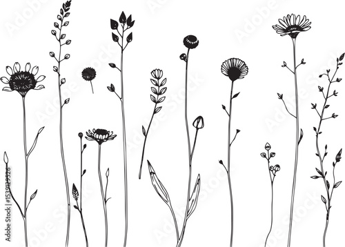 Set of plants and flowers. Hand drawn vector illustration