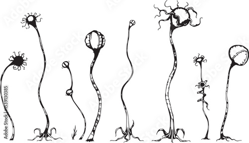 Set of plants and flowers. Hand drawn vector illustration