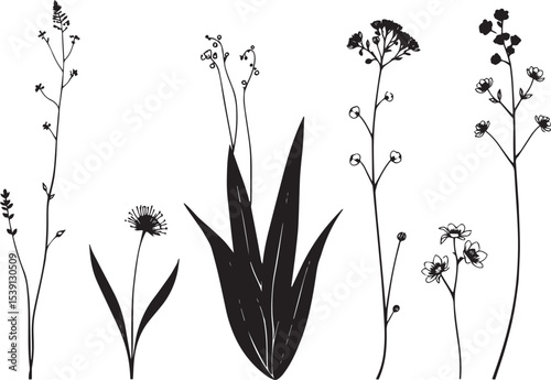 Set of plants and flowers. Hand drawn vector illustration