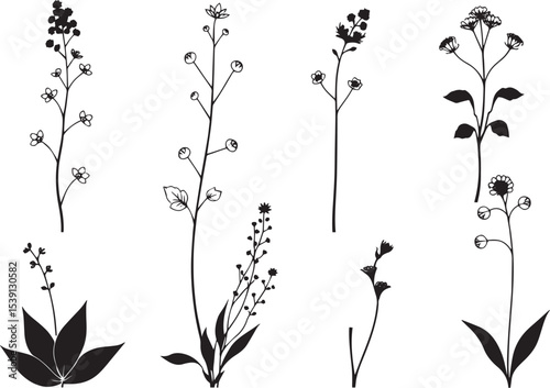 Set of plants and flowers. Hand drawn vector illustration