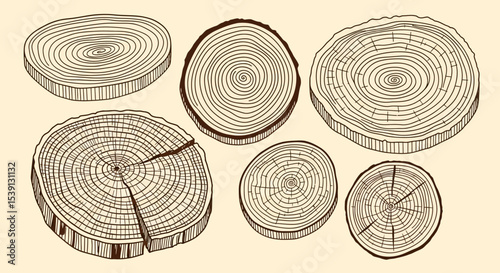 Vintage Wood Slice Illustrations Hand-Drawn Cross-Sections of Tree Trunks for Design Projects