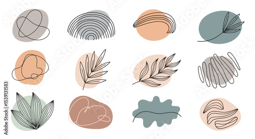 Abstract Line Art Botanical Illustrations Set of 12 Minimalist Designs