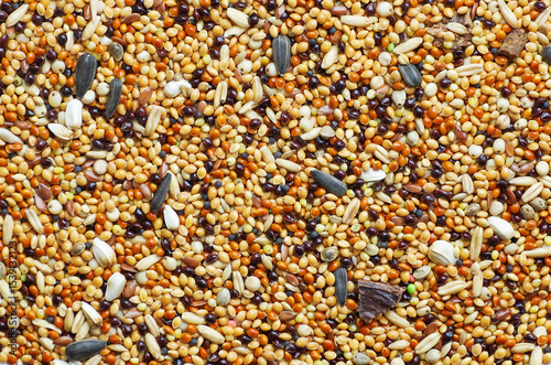 Budgies food background texture. bird cereal seed mixture.