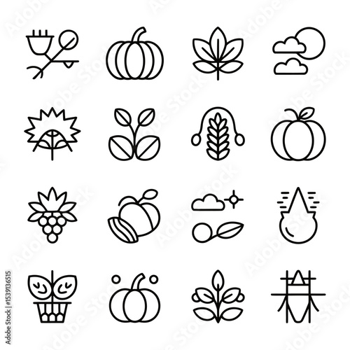 Fruits and flower set. Hand drawn sketch style vector illustration.