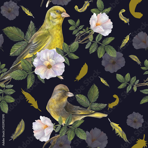 Greenfinch birds, feathers, rosehip flowers, leaves on dark background hand drawn. Seamless pattern watercolor illustrations for fabric, textile, prints, design	
