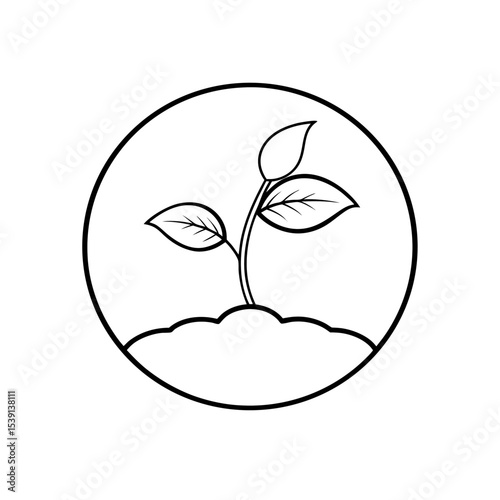 sprouting plant from cherry seed line icon