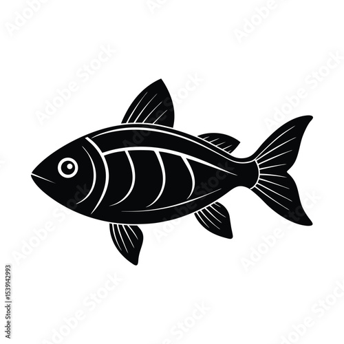 fish on a white background
