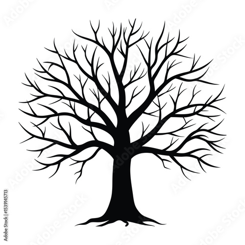 tree with roots