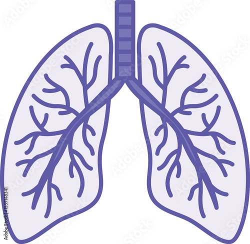 Colored Lungs Icon. Vector Illustration. Paired Organs Of The Respiratory System Located In The Chest Cavity. Human Organs. Concept Anatomy