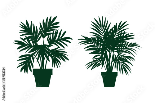 Indoor Potted Plant Silhouettes