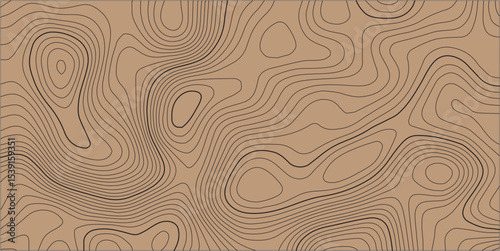 Abstract horizontal long banner with topographic line map and paper effect. Vector geographic contour grid