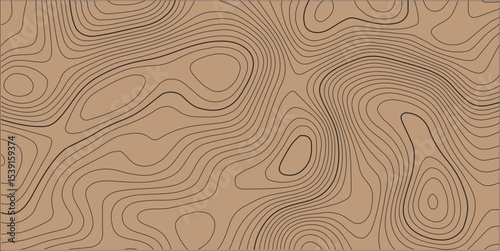 Abstract horizontal long banner with topographic line map and paper effect. Vector geographic contour grid