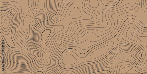 Abstract horizontal long banner with topographic line map and paper effect. Vector geographic contour grid