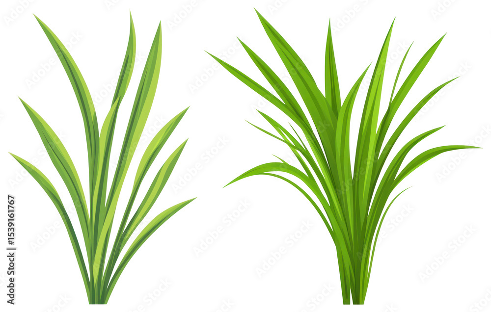 Obraz premium PNG Vibrant green grass illustration, element set on transparent background