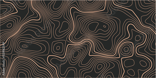 The stylized height of the topographic map contour in lines and contours. The concept of a conditional geography scheme and the terrain path. Orange on black. Ultra wide size. Vector illustration.
