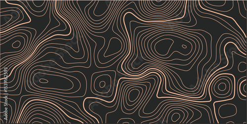 The stylized height of the topographic map contour in lines and contours. The concept of a conditional geography scheme and the terrain path. Orange on black. Ultra wide size. Vector illustration.
