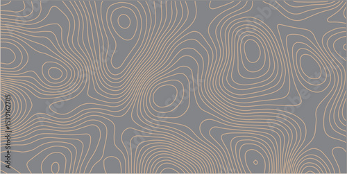 Abstract gray topography contour map background design .geometric black wave curve lines texture .abstract topographic map with wave line pattern .
