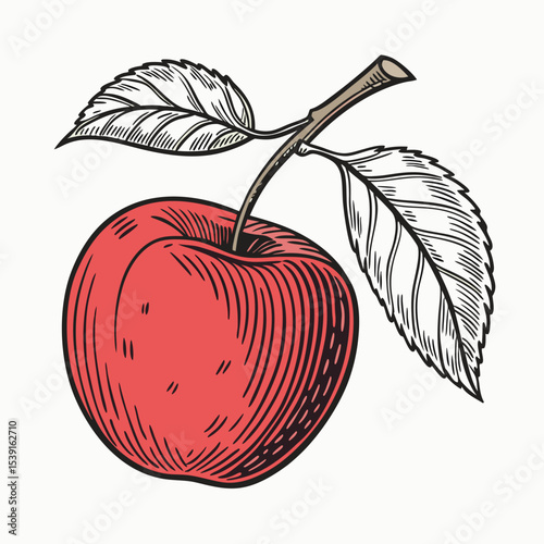 Classic vector of a red apple with detailed stem and leaves in vintage woodcut style. Ideal for organic food, farm branding, healthy eating, nature prints, and retro culinary-themed designs..eps