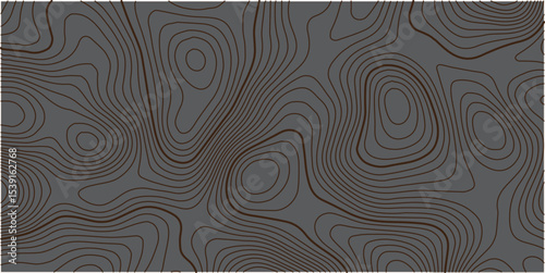 Abstract gray topography contour map background design .geometric black wave curve lines texture .abstract topographic map with wave line pattern .