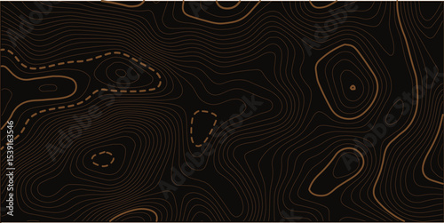 Abstract topography. Actual topography map. Dark seamless design, fantastic tileable isolines pattern. Vector illustration.