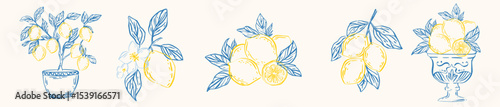 Hand drawn doodle set of Mediterranean lemon tree branches, blossoms, fruits in pots and glass bowls. Perfect for summer prints, packaging, food branding