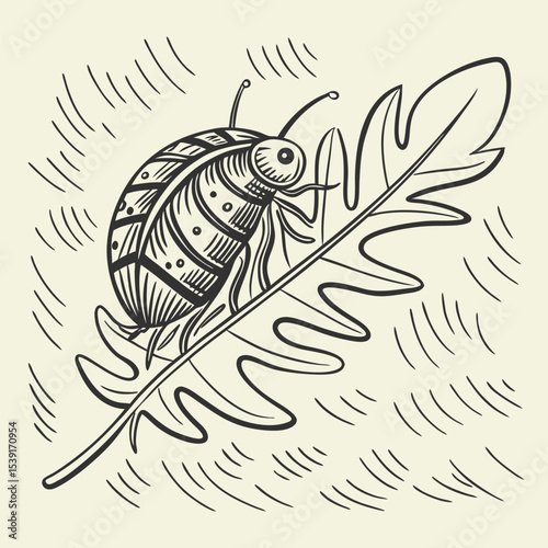 Black and White Line Drawing of a Steampunk Style Beetle on a Leaf insect plant