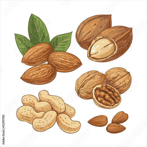 Nuts collage.