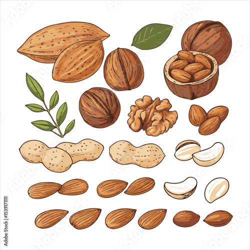 Nuts collage.