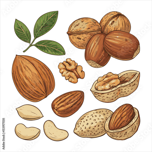 Nuts collage.